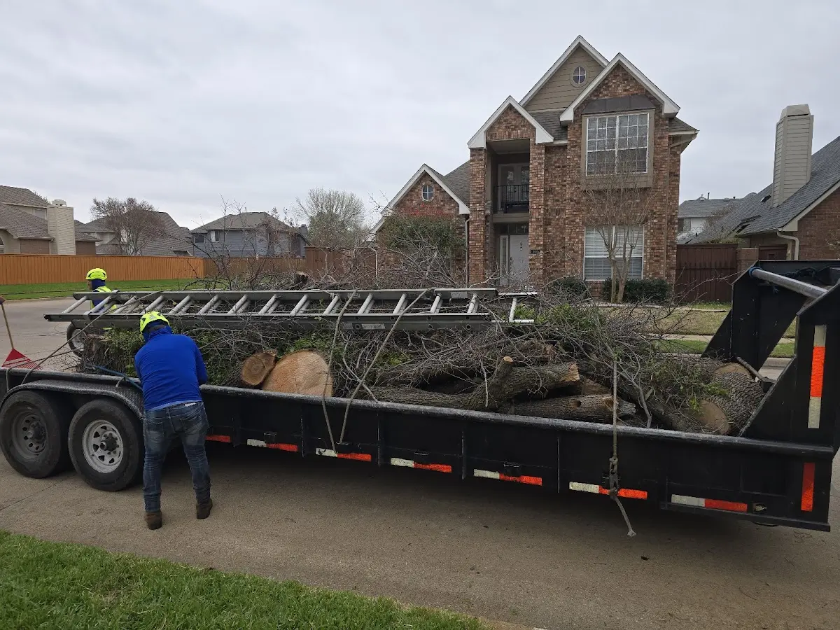 Expert Tree Fertilization with proper safety equipment in Moorefield